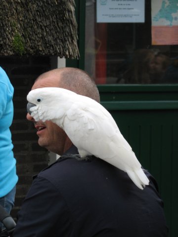 2011-09-11 Kralingsebos